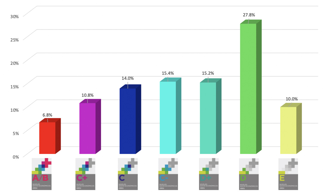 Distribuci&oacute;n del Nivel Socioecon&oacute;mico de los Hogares 2020