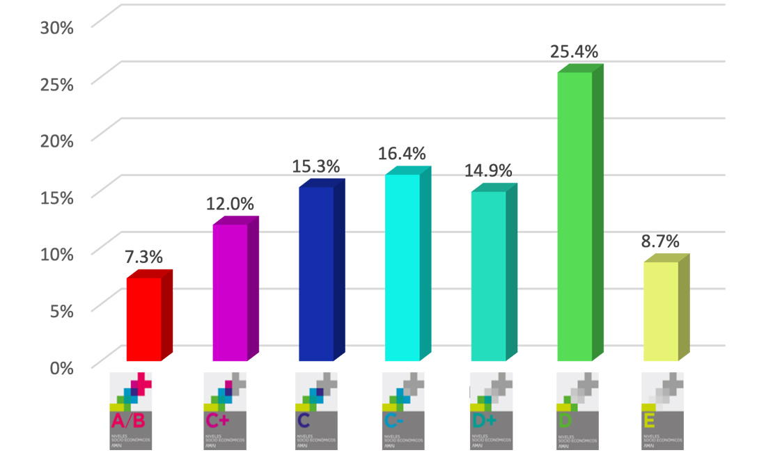 Distribuci&oacute;n del Nivel Socioecon&oacute;mico de los Hogares 2022